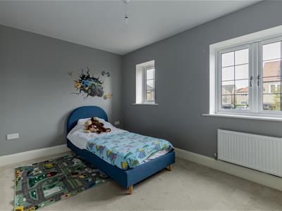 Picture 16